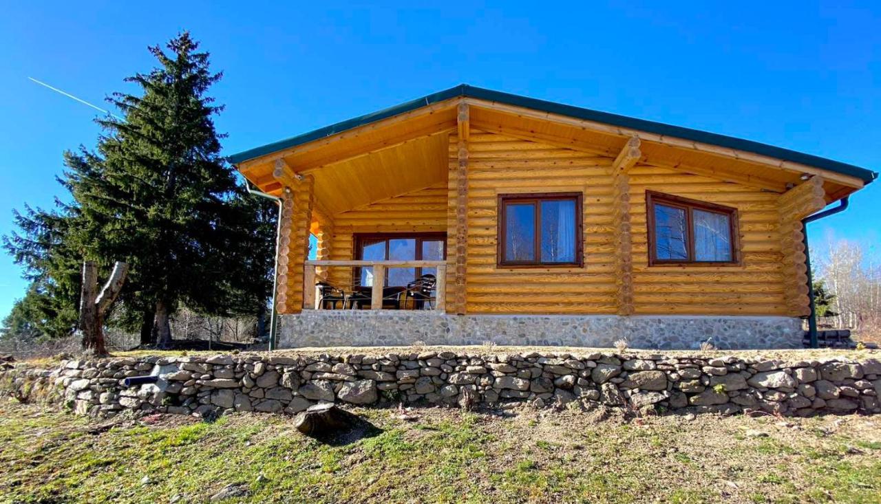 Вила Брезите Pamporovo Exterior photo