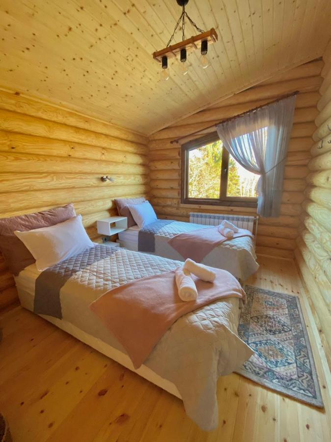 Вила Брезите Pamporovo Exterior photo